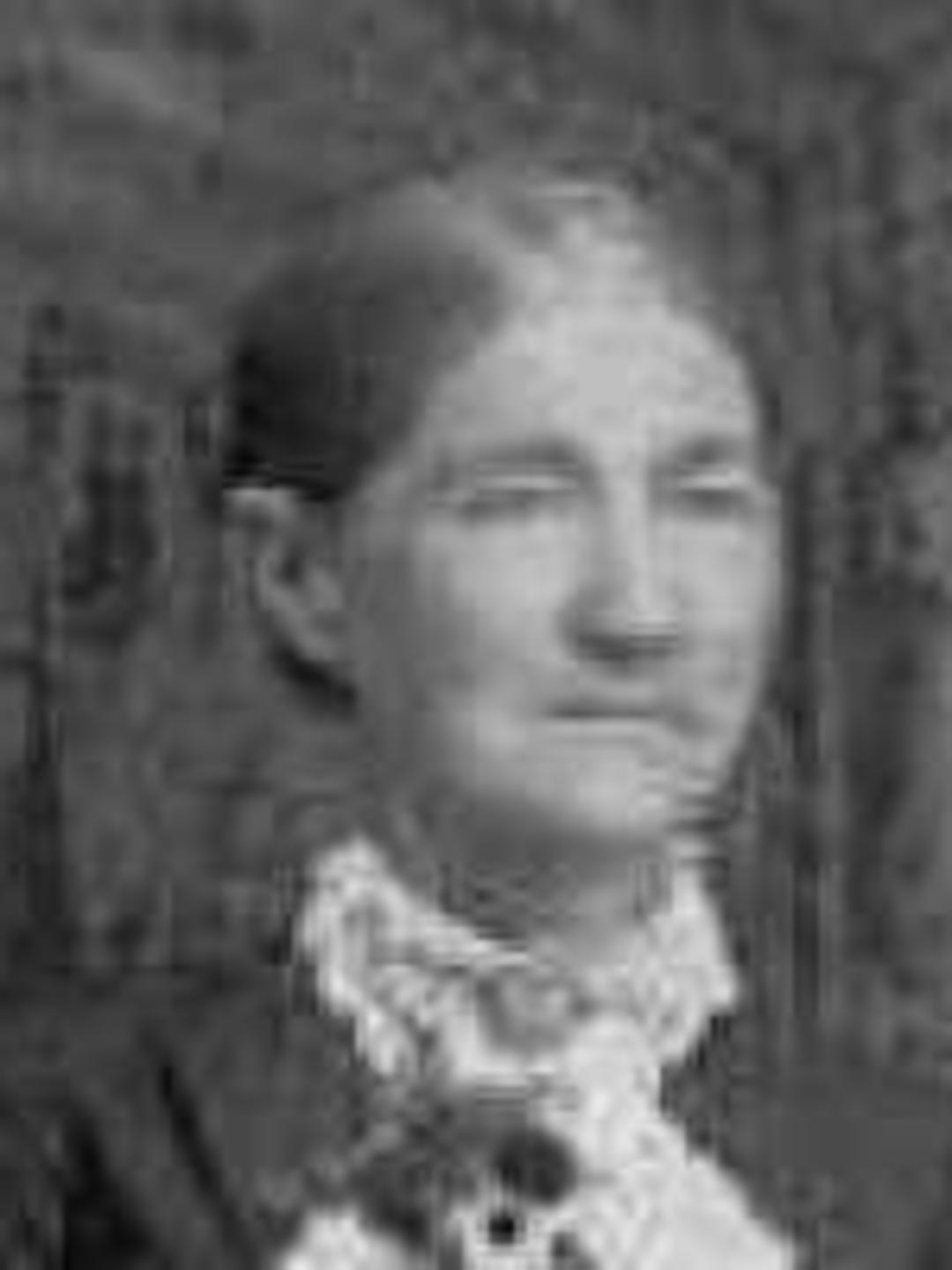 Minerva Orilla Woods (1829 - 1896) Profile